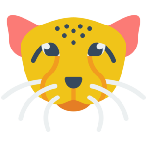 cheetah