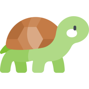 turtle